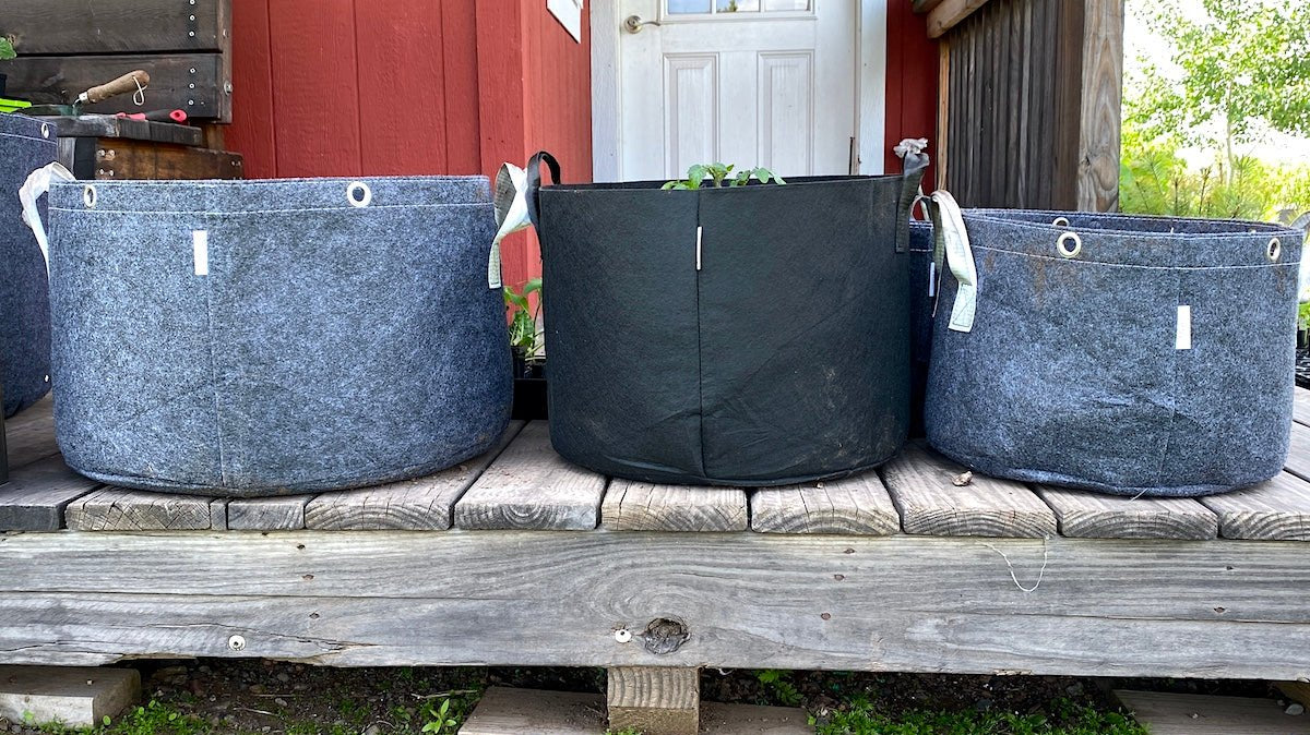 Grow a Salad in a Tote: Modern Victory Gardening for Small Spaces - Taiga Farm & Seed