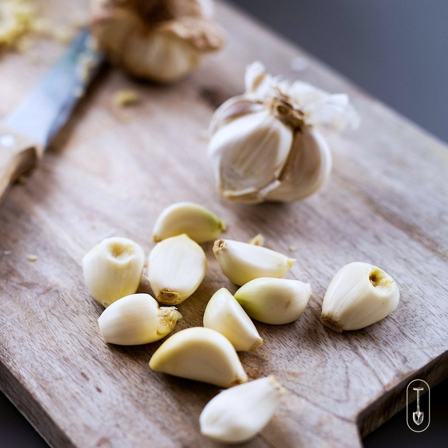 Taiga Farm and Seed Peeled Garlic Cloves Ready on a Cutting Board