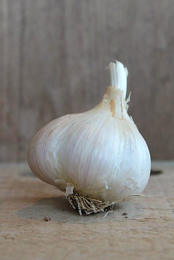 Taiga Farm & Seed Georgian Crystal Garlic