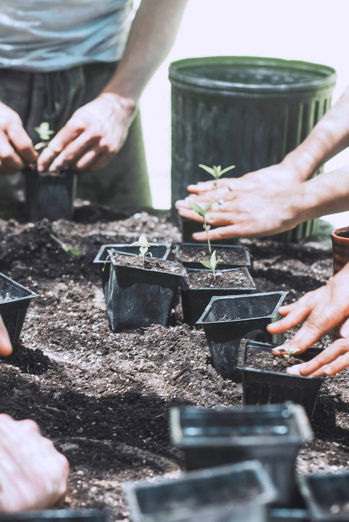 Gift Card - Taiga Farm & Seed