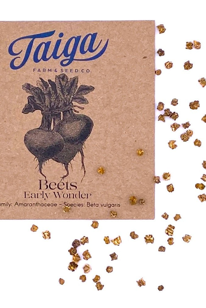Taiga Farm and Seed Beet Seeds and Packet