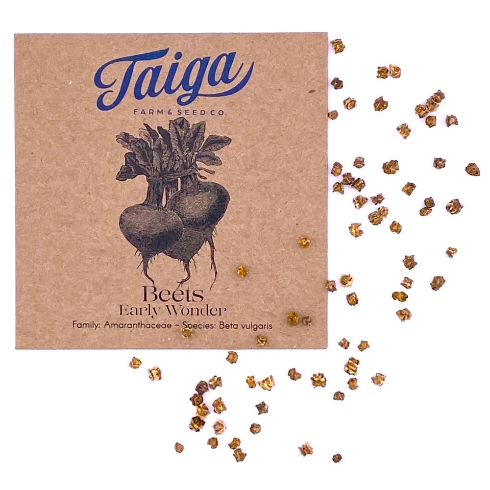 Taiga Farm and Seed Beet Seeds and Packet