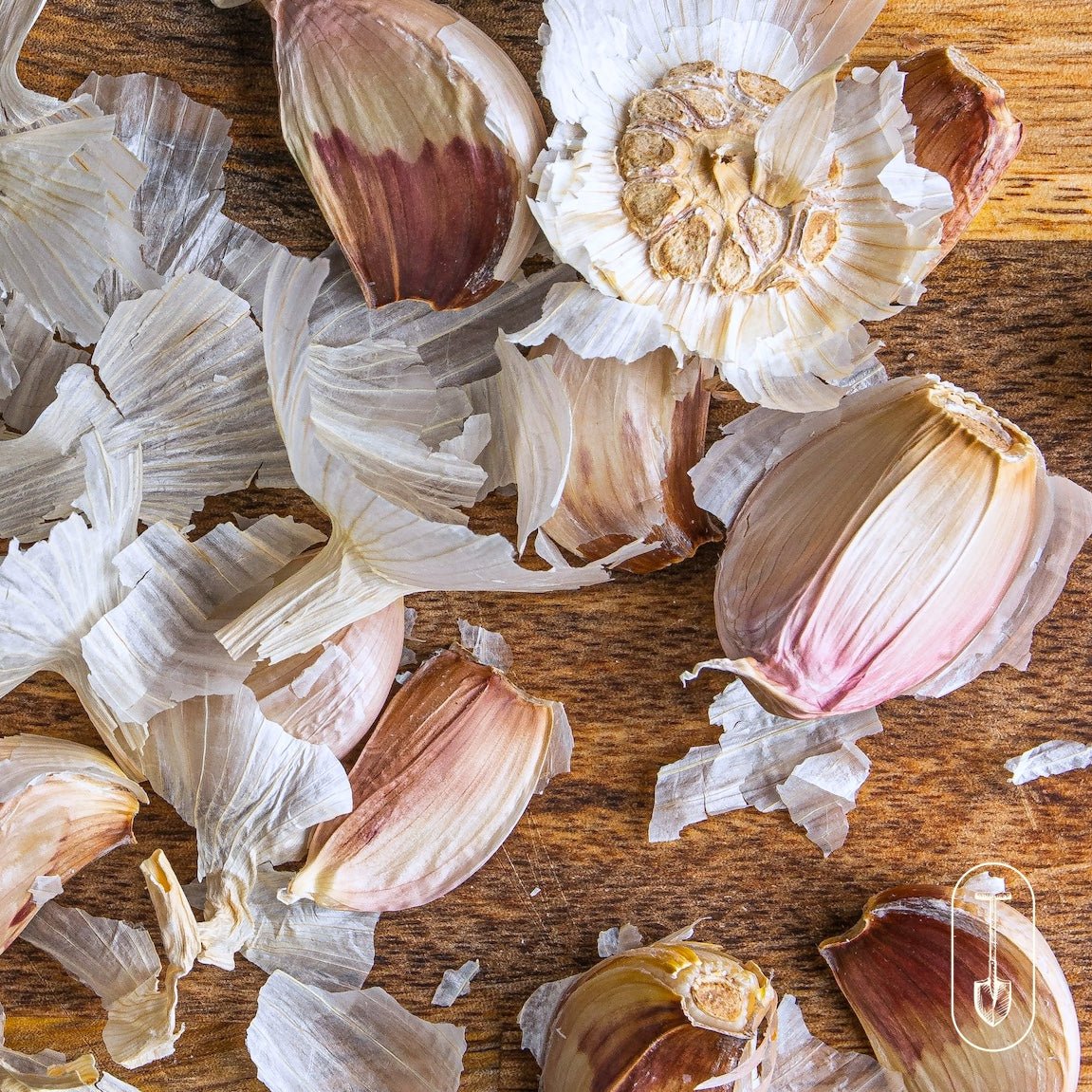 Russian Inferno Certified Organic Garlic - Taiga Farm & Seed