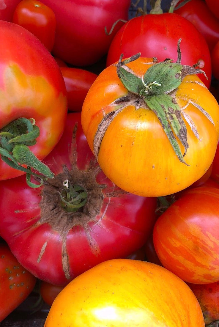 Small Garden Seed Collection - Taiga Farm & Seed