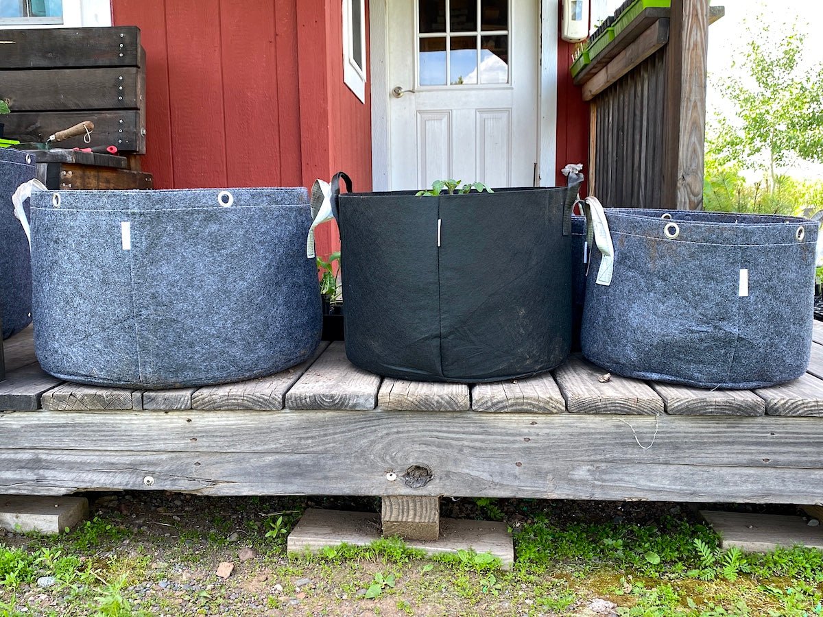Grow a Salad in a Tote: Modern Victory Gardening for Small Spaces - Taiga Farm & Seed