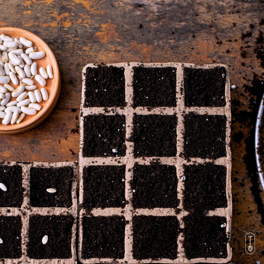 You’re Not Late: What to Start This Weekend - Taiga Farm & Seed