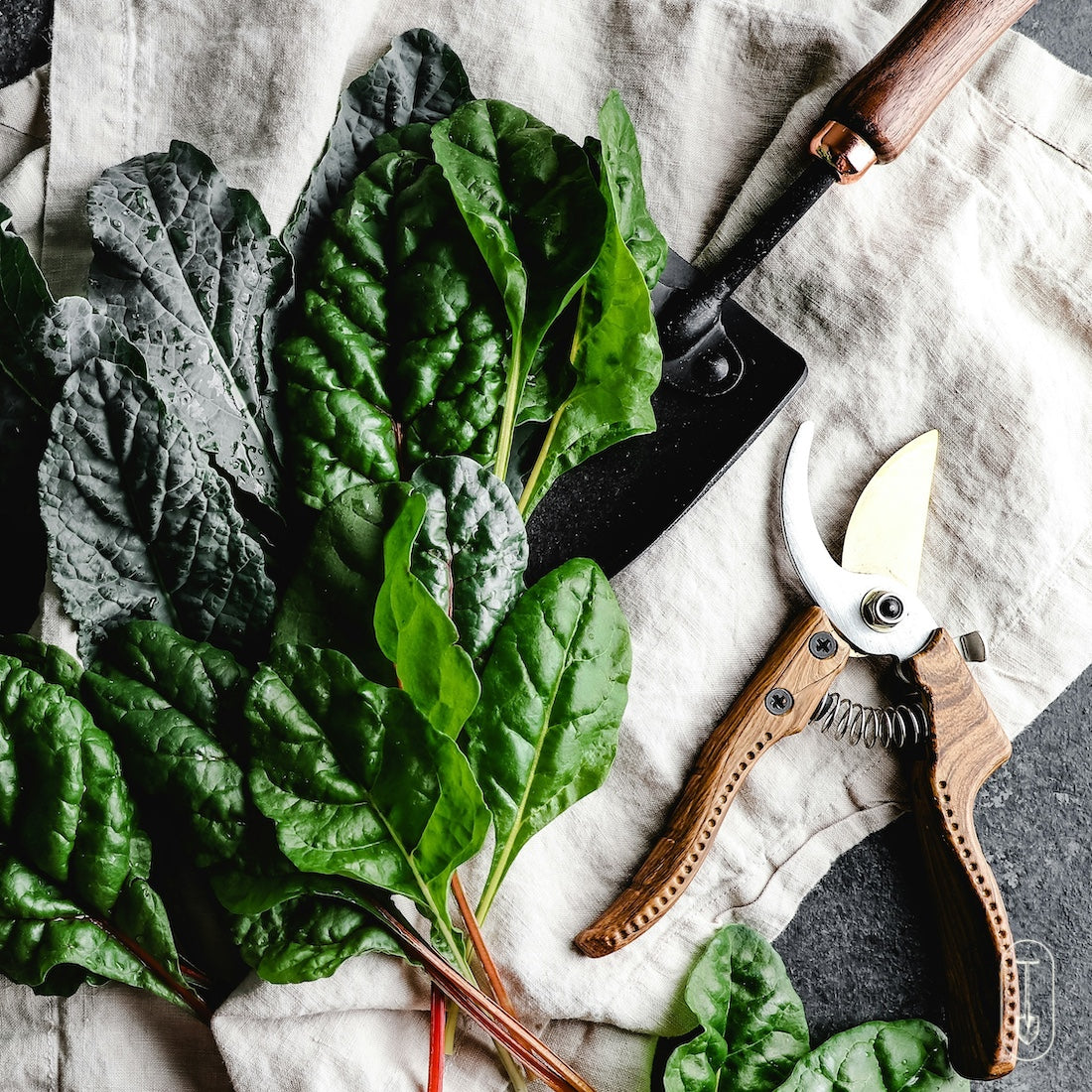 Gardening Hand tools and harvested greens