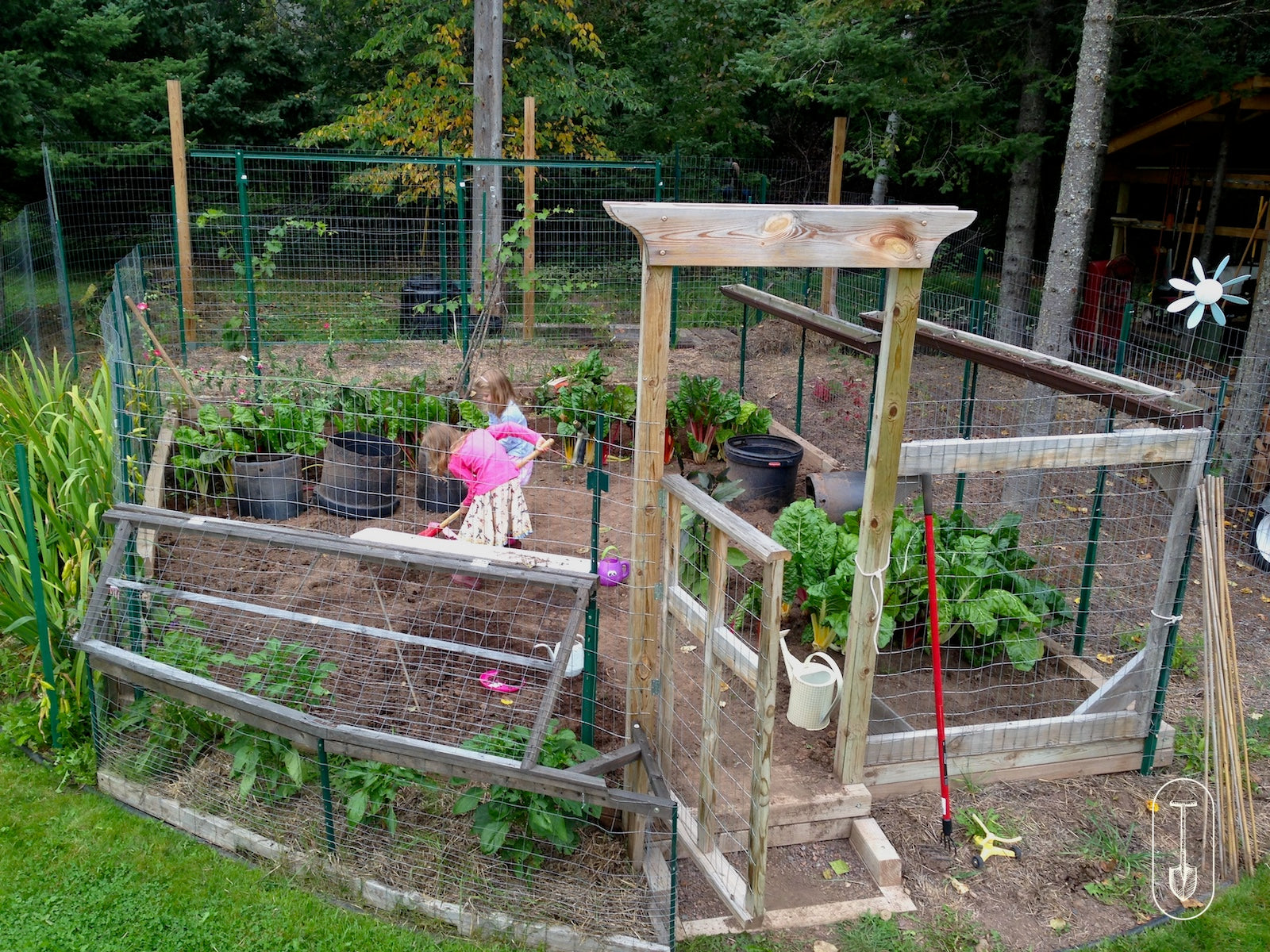 Taiga Farm and Seed Backyard City Garden