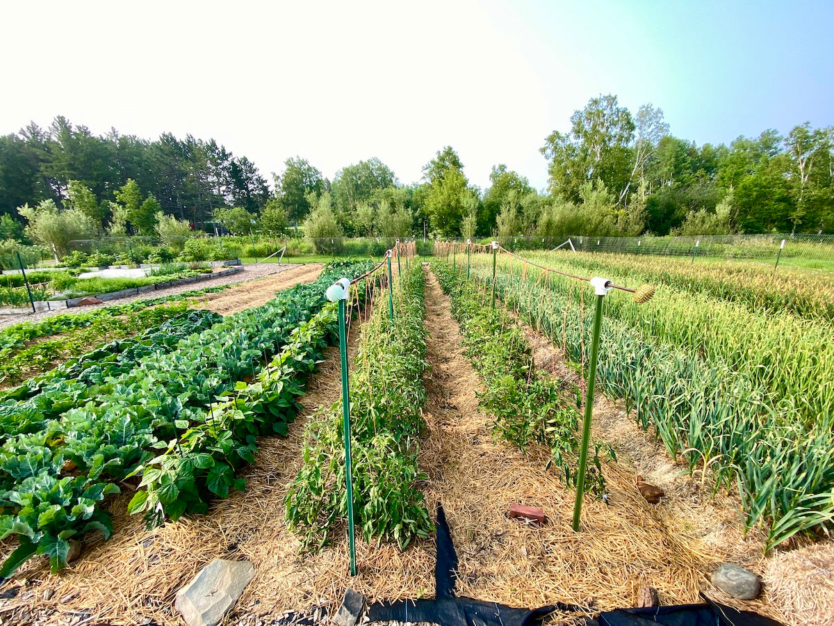 Taiga Farm and Seed Farm Field
