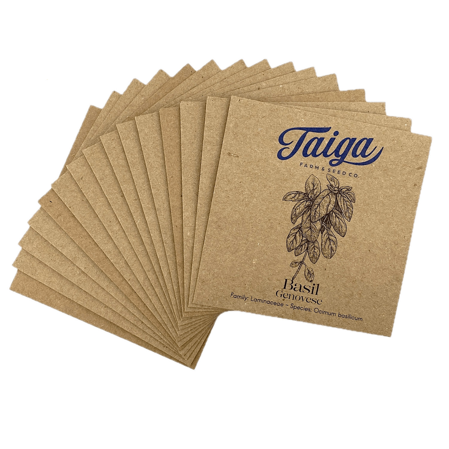 Culinary Herb Seed Collection - Taiga Farm & Seed