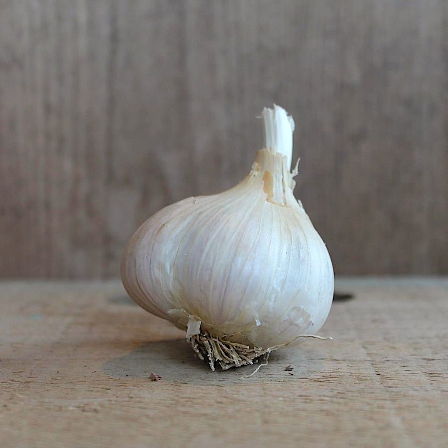 Taiga Farm & Seed Georgian Crystal Garlic