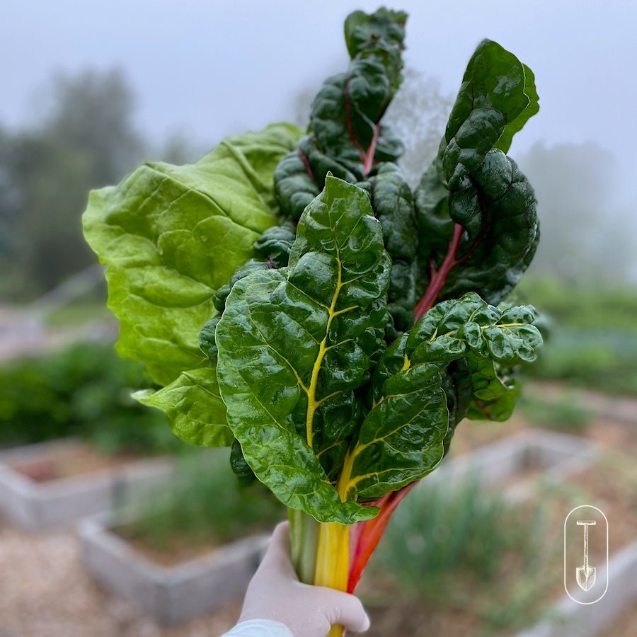 Gift Card - Taiga Farm & Seed