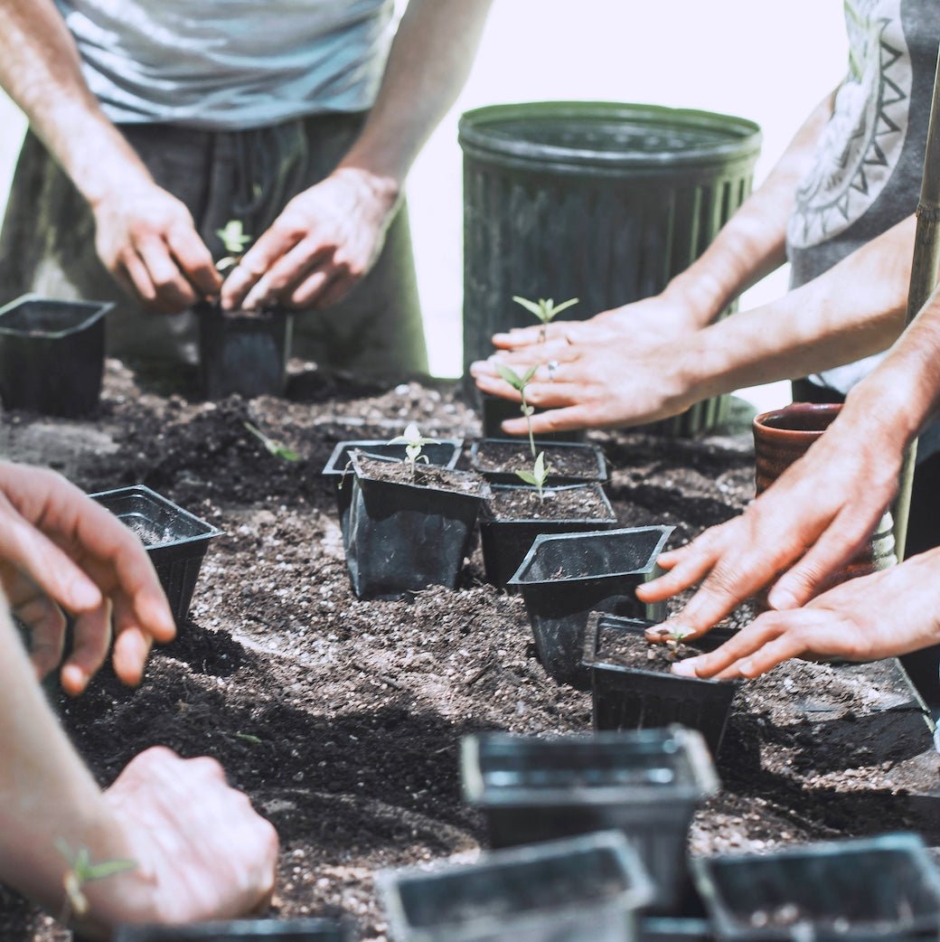 Gift Card - Taiga Farm & Seed