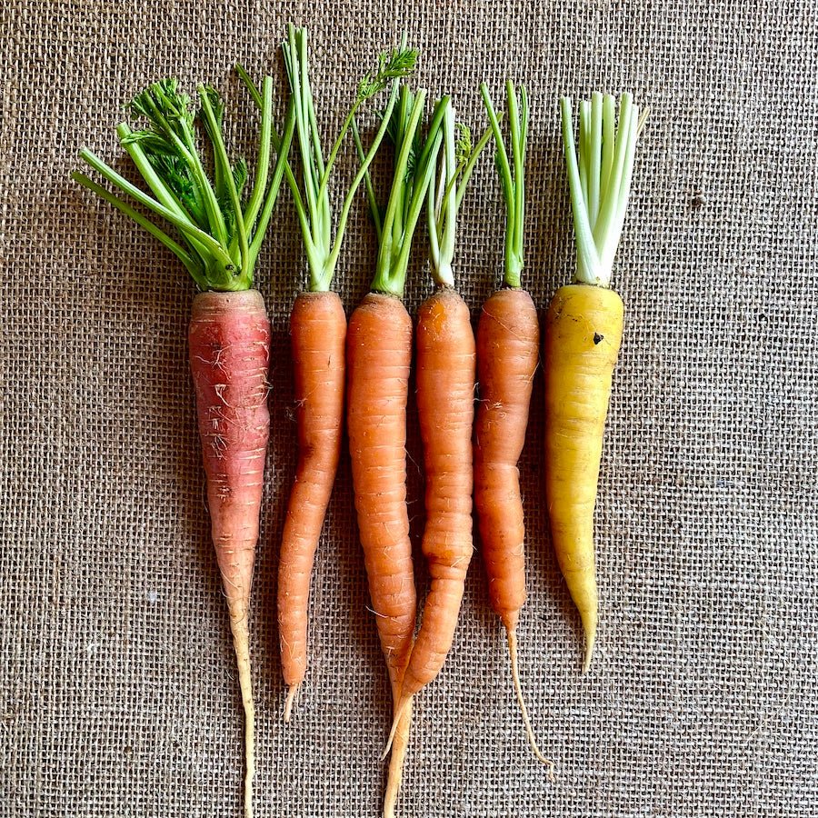 Gift Card - Taiga Farm & Seed